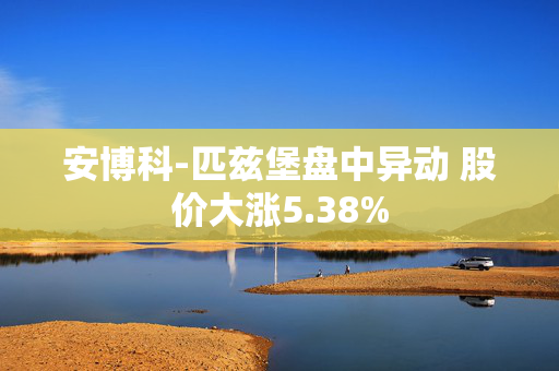 安博科-匹兹堡盘中异动 股价大涨5.38%