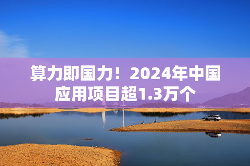 算力即国力！2024年中国应用项目超1.3万个