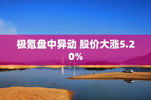 极氪盘中异动 股价大涨5.20%