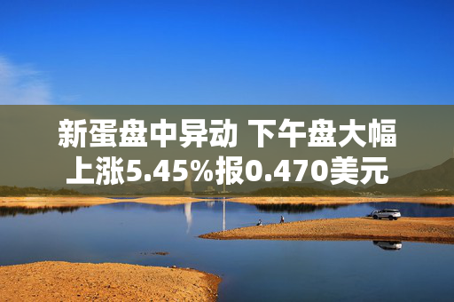 新蛋盘中异动 下午盘大幅上涨5.45%报0.470美元