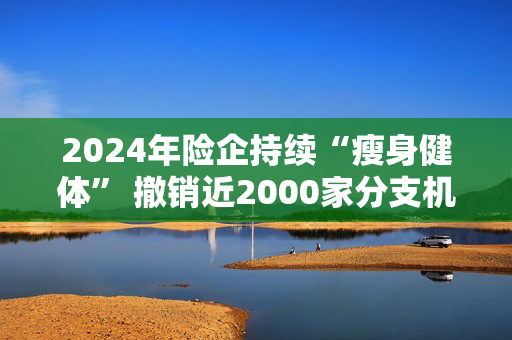 2024年险企持续“瘦身健体” 撤销近2000家分支机构