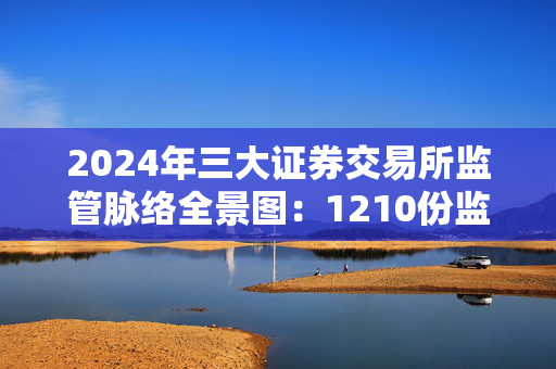 2024年三大证券交易所监管脉络全景图：1210份监管措施全维度守护资本市场平稳运行