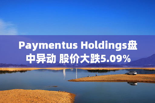 Paymentus Holdings盘中异动 股价大跌5.09%