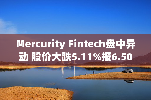 Mercurity Fintech盘中异动 股价大跌5.11%报6.50美元