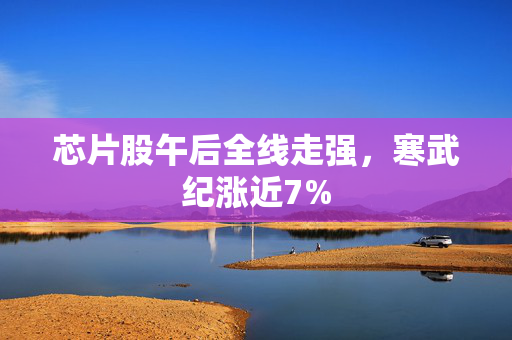 芯片股午后全线走强，寒武纪涨近7%