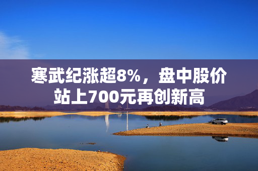 寒武纪涨超8%，盘中股价站上700元再创新高