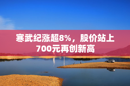 寒武纪涨超8%，股价站上700元再创新高