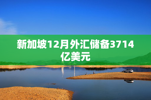 新加坡12月外汇储备3714亿美元