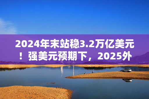 2024年末站稳3.2万亿美元！强美元预期下，2025外储何去何从？