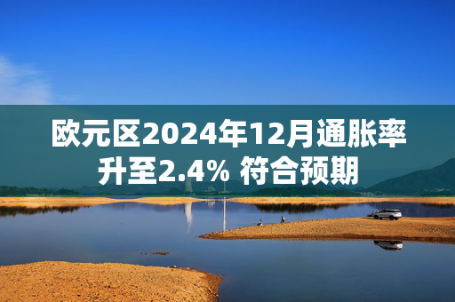 欧元区2024年12月通胀率升至2.4% 符合预期