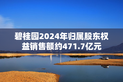 碧桂园2024年归属股东权益销售额约471.7亿元