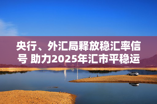 央行、外汇局释放稳汇率信号 助力2025年汇市平稳运行