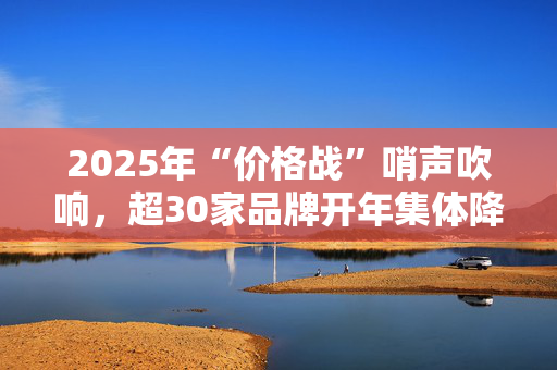 2025年“价格战”哨声吹响，超30家品牌开年集体降价