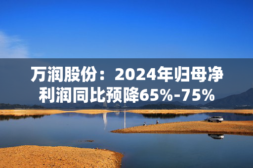 万润股份：2024年归母净利润同比预降65%-75%