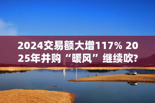 2024交易额大增117% 2025年并购“暖风”继续吹?