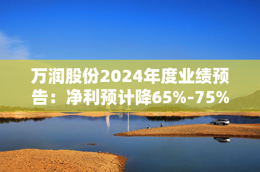 万润股份2024年度业绩预告：净利预计降65%-75%