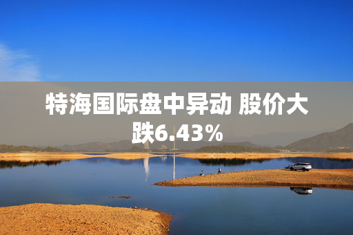 特海国际盘中异动 股价大跌6.43%