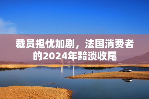 裁员担忧加剧，法国消费者的2024年黯淡收尾