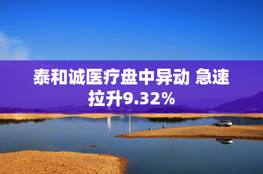 泰和诚医疗盘中异动 急速拉升9.32%