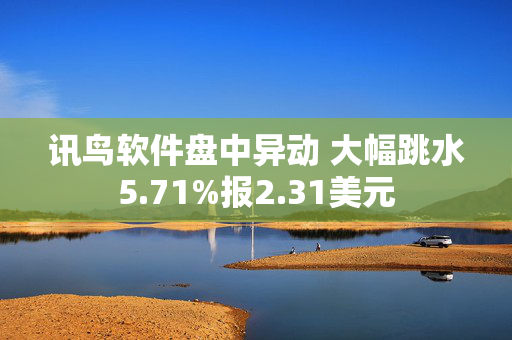 讯鸟软件盘中异动 大幅跳水5.71%报2.31美元