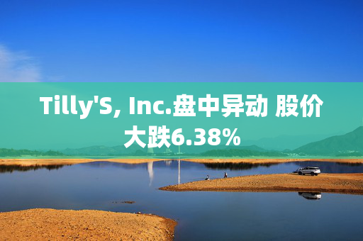 Tilly'S, Inc.盘中异动 股价大跌6.38%