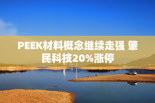 PEEK材料概念继续走强 肇民科技20%涨停