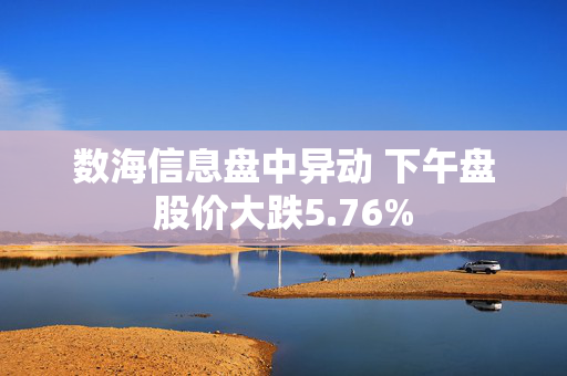 数海信息盘中异动 下午盘股价大跌5.76%