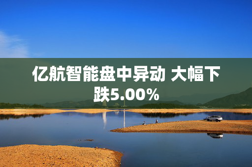 亿航智能盘中异动 大幅下跌5.00%