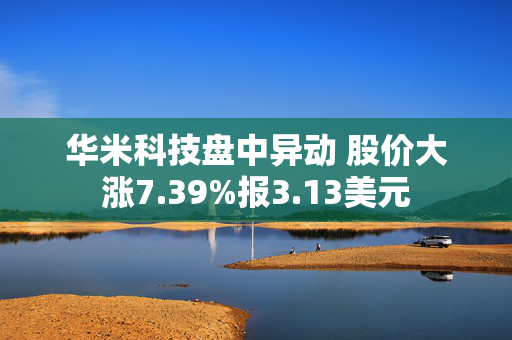 华米科技盘中异动 股价大涨7.39%报3.13美元