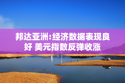 邦达亚洲:经济数据表现良好 美元指数反弹收涨