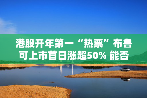 港股开年第一“热票”布鲁可上市首日涨超50% 能否成为下一个泡泡玛特？