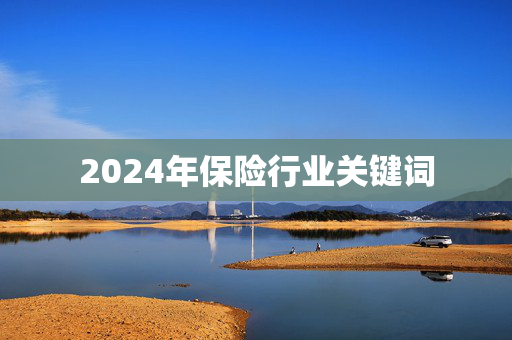 2024年保险行业关键词