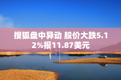 搜狐盘中异动 股价大跌5.12%报11.87美元