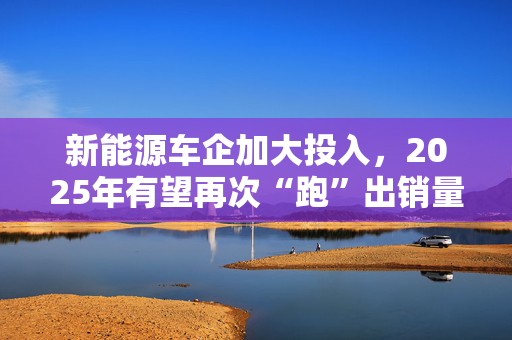 新能源车企加大投入，2025年有望再次“跑”出销量新高