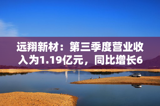 远翔新材：第三季度营业收入为1.19亿元，同比增长6.91%