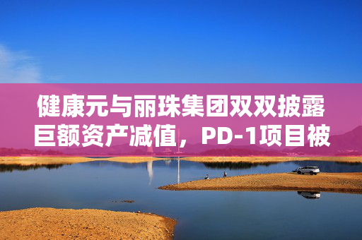 健康元与丽珠集团双双披露巨额资产减值，PD-1项目被叫停