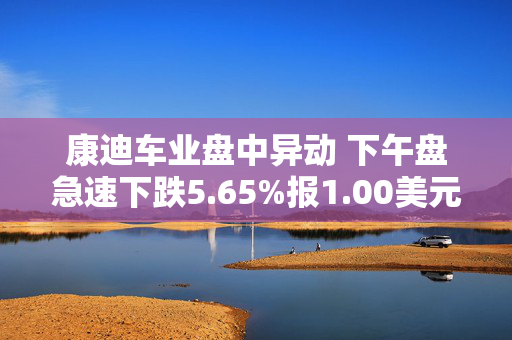 康迪车业盘中异动 下午盘急速下跌5.65%报1.00美元