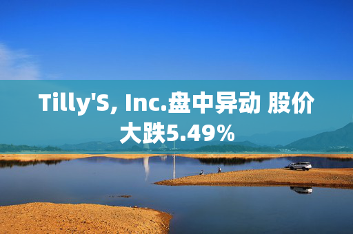 Tilly'S, Inc.盘中异动 股价大跌5.49%