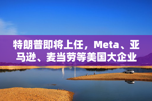 特朗普即将上任，Meta、亚马逊、麦当劳等美国大企业终止或缩减多元化项目