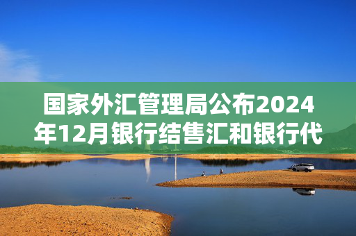 国家外汇管理局公布2024年12月银行结售汇和银行代客涉外收付款数据