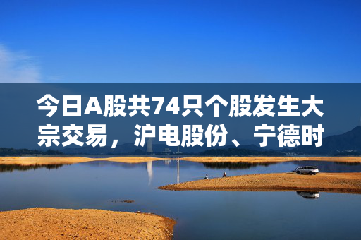 今日A股共74只个股发生大宗交易，沪电股份、宁德时代、金发科技成交额居前