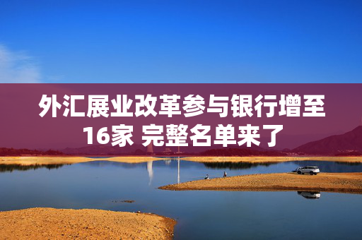 外汇展业改革参与银行增至16家 完整名单来了