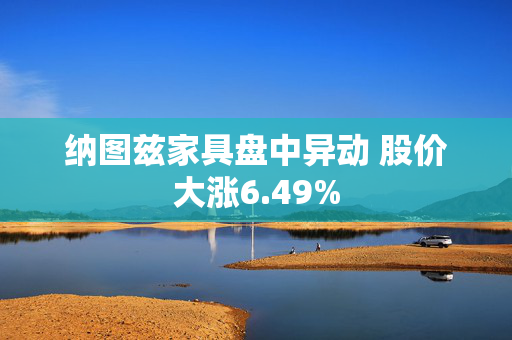 纳图兹家具盘中异动 股价大涨6.49%