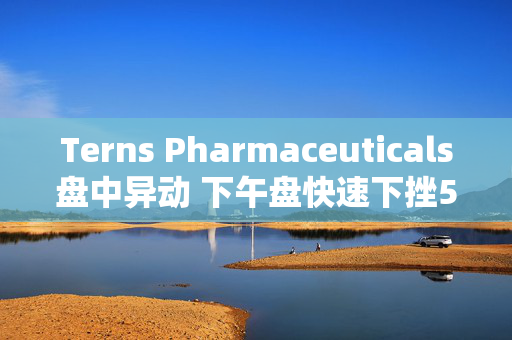 Terns Pharmaceuticals盘中异动 下午盘快速下挫5.00%