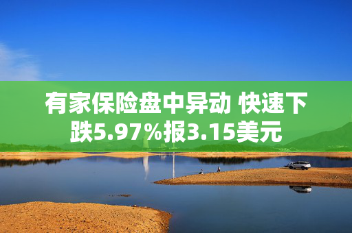 有家保险盘中异动 快速下跌5.97%报3.15美元