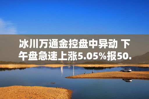 冰川万通金控盘中异动 下午盘急速上涨5.05%报50.58美元