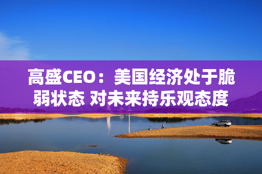 高盛CEO：美国经济处于脆弱状态 对未来持乐观态度