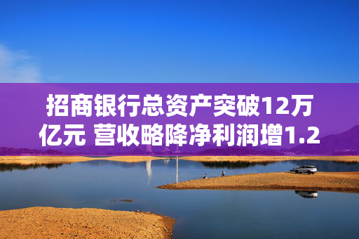 招商银行总资产突破12万亿元 营收略降净利润增1.22%