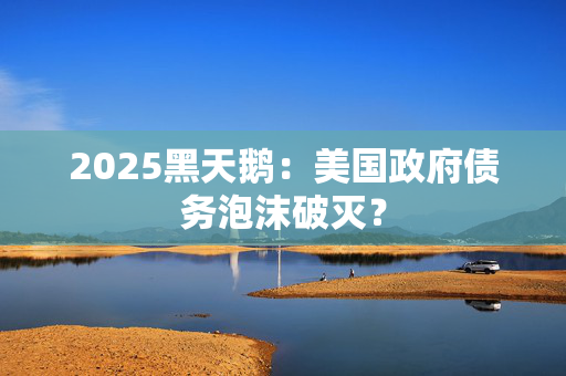 2025黑天鹅：美国政府债务泡沫破灭？