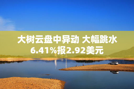 大树云盘中异动 大幅跳水6.41%报2.92美元